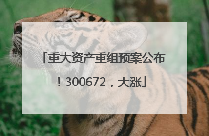 重大资产重组预案公布！300672，大涨
